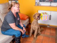 Verhaltenstraining für Hunde in Küssaberg mit Fokus auf Antijagtraining und Leinenführigkeit